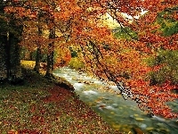 Góry, Potok, Las, Jesień