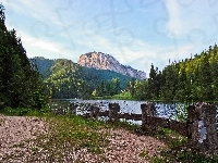 Las, Góry, Rzeka