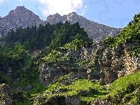 Las, Góry, Skały