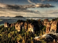 Las, Góry, Skały