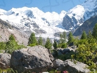 Las, Góry, Skały