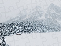 Góry, Zima, Las, Śnieg