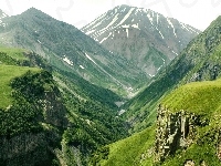 Góry, Lasy