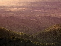 Góry, Lasy