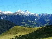 Lasy, Góry, Łąki