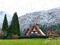 Lasy, Góry, Domki