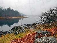 Góry, Kamienie, Jesień, Jezioro, Lasy, Mgła