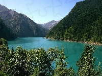 Lasy, Góry, Jezioro