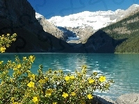 Góry, Kanada, Jezioro Louise, Kwiaty