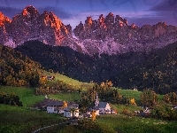 Góry, Dolina Val di Funes, Lasy, Dolomity, Drzewa, Domy, Kościół, Włochy, Wieś Santa Maddalena, Masyw Odle