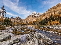 Góry, Park Narodowy Yoho, Rzeka, Kolumbia Brytyjska, Kamienie, Góra Mount Huber, Strumień, Kanada, Płaskowyż Opabin Plateau, Drzewa