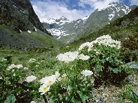 Góry, Jaskry, Wysokogórskie, Fjordland National Park