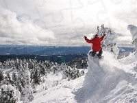 Góry, Las, Snowboarding, Ośnieżone, Śnieg