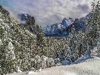 Park Narodowy Yosemite, Świerki, Góry, Stan Kalifornia, Zima, Dolina Yosemite Valley, Stany Zjednoczone, Drzewa