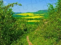 Góry, Łąki, Pola, Ścieżka