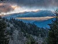 Góry, Stan Karolina Północna, Las, Stany Zjednoczone, Park Narodowy Great Smoky Mountains, Chmury