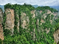 Skały, Góry, Rośliny
