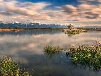 Góry, Jezioro, Szuwary