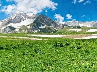 Góry, Trawa