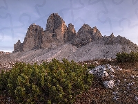 Roślinność, Włochy, Iglaki, Dolomity, Szczyty, Skały, Góry, Tre Cime di Lavaredo