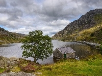 Walia, Jezioro Llyn Ogwen, Droga, Góry, Wielka Brytania, Park Narodowy Snowdonia, Drzewa