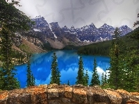 Jezioro Moraine, Prowincja Alberta, Świerki, Kanada, Park Narodowy Banff, Góry