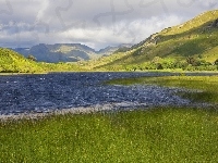 Woda, Góry, Trawy
