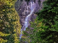 Wodospad, Góry, Las