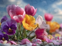 Kolorowe, Tulipany, Kwiaty, Grafika AI, Bratki