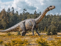 Drzewa, Dinozaur, Brachiozaur, Grafika