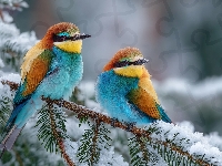 Dwie, Ośnieżona, Żołny, Grafika AI, Gałązka