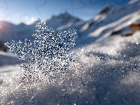 Śnieżynka, Słońce, Śnieg, Grafika AI, Góry