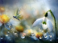 Przebiśnieg, Motyl, Kwiat, Grafika AI, Krople