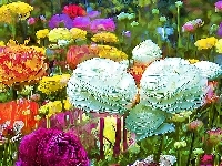 Kwiaty, Grafika, Fractalius