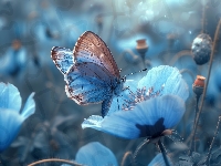 Kwiaty, Motyl, Niebieskie, Grafika