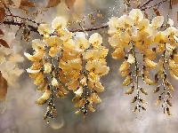 Gałązka, Żółte, Złotokap, Grafika AI, Kwiaty