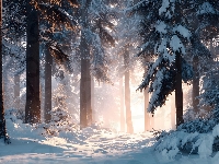 Zima, Droga, Drzewa, Grafika AI, Las