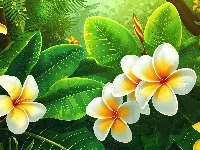 Liscie, Kwiaty, Plumerie, Grafika