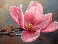 Magnolia, Kwiat, Różowy, Grafika
