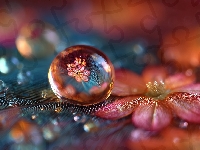 Kropla, Kwiat, Piórko, Grafika AI, Makro