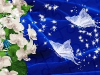 Motyle, Grafika, Storczyki
