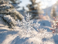 Śnieżynka, Gałązki, Śnieg, Grafika AI, Śnieg