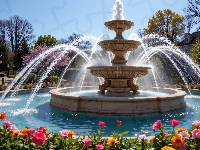 Fontanna, Park, Kwiaty, Grafika AI, Wiosna