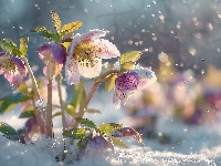 Różowe, Śnieg, Ciemierniki, Grafika AI, Zima