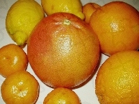 Grapefruit, Cytryny, Cytrusy, Pomarańcze, Mandarynki