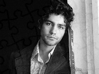 Adrian Grenier, Aktor