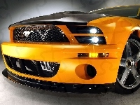 Grill, Ford Mustang, Ksenony