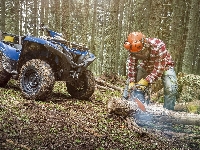 Quad, Las, Yamaha Grizzly, Drwal, Drzewa