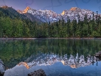Górna Austria, Las, Odbicie, Jezioro Großer Ödsee, Austria, Góry Alpy, Kamienie
