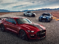 Ford Mustang Shelby GT500, Samochody, Trzy